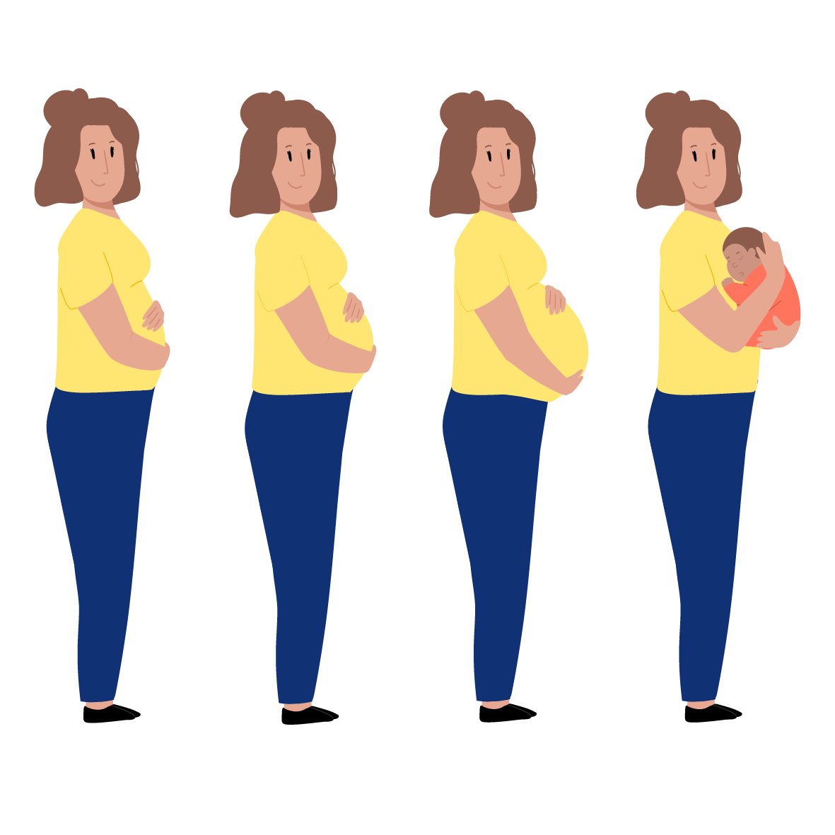 Illustration représentant  femmes enceintes représentant la période de la grossesse