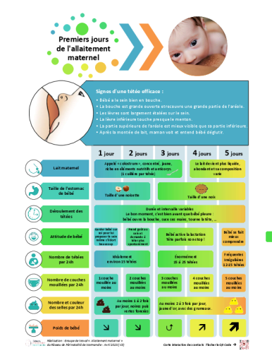 miniature du document Les premiers jours de l’allaitement maternel